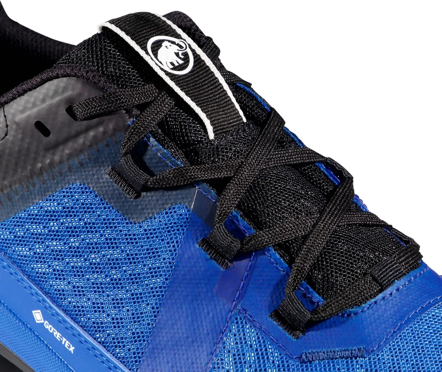 Mammut Men's Hiking Shoe
