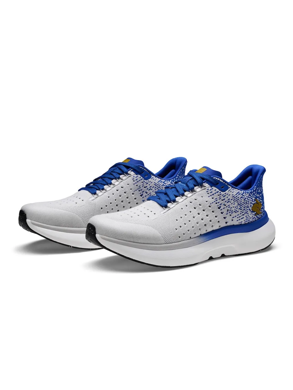 Men's Dream Chaser 2.0