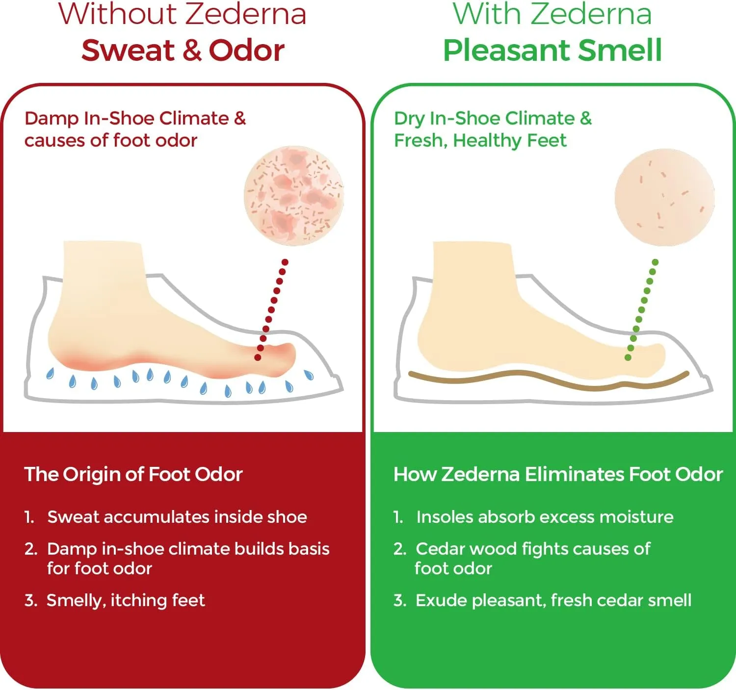 Zederna Cedar Wood Shoe Insoles 1 Pair, Cedar/Red US M 7/ W 8.5/ EU 39